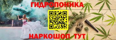 Альфа ПВП Будённовск