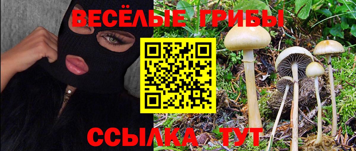 Псилоцибиновые грибы мухоморы  Псилоцибиновые грибы ЛСД  Лянтор  Вход с VPN 