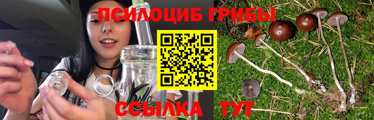 Псилоцибиновые грибы ЛСД Лянтор